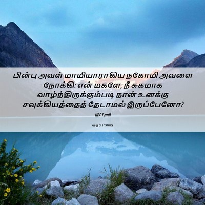Picture 06 - ரூத் 3:1 TAMIRV - பின்பு அவள் - Bible Verse Picture