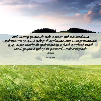 Picture 06 - ரூத் 3:18 TAMIRV - அப்பொழுது அவள்: - Bible Verse Picture