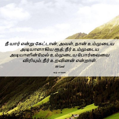 Picture 06 - ரூத் 3:9 TAMIRV - நீ யார் என்று - Bible Verse Picture