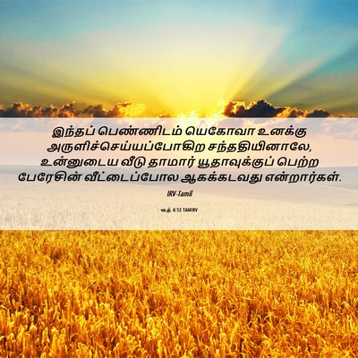 Picture 06 - ரூத் 4:12 TAMIRV - இந்தப் பெண்ணிடம் - Bible Verse Picture