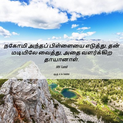 Picture 06 - ரூத் 4:16 TAMIRV - நகோமி அந்தப் - Bible Verse Picture