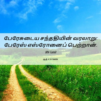 Picture 06 - ரூத் 4:18 TAMIRV - பேரேசுடைய - Bible Verse Picture