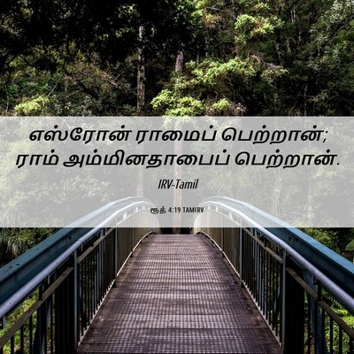 Picture 06 - ரூத் 4:19 TAMIRV - எஸ்ரோன் ராமைப் - Bible Verse Picture
