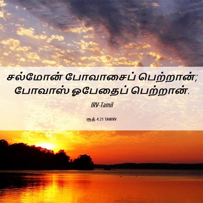 Picture 06 - ரூத் 4:21 TAMIRV - சல்மோன் போவாசைப் - Bible Verse Picture