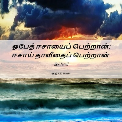 Picture 06 - ரூத் 4:22 TAMIRV - ஓபேத் ஈசாயைப் - Bible Verse Picture