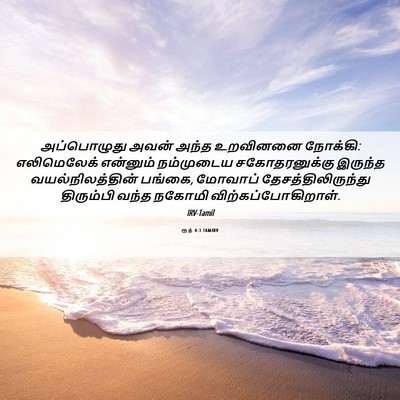 Picture 06 - ரூத் 4:3 TAMIRV - அப்பொழுது அவன் - Bible Verse Picture