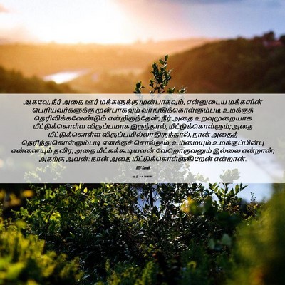 Picture 06 - ரூத் 4:4 TAMIRV - ஆகவே, நீர் அதை ஊர் - Bible Verse Picture