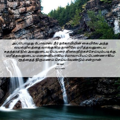 Picture 06 - ரூத் 4:5 TAMIRV - அப்பொழுது போவாஸ்: - Bible Verse Picture