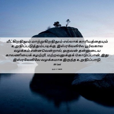 Picture 06 - ரூத் 4:7 TAMIRV - மீட்கிறதிலும் - Bible Verse Picture