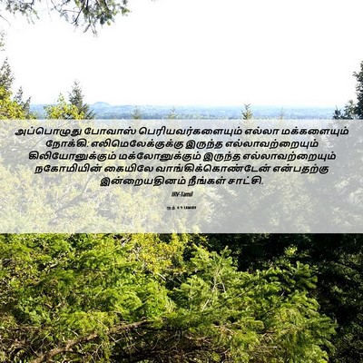 Picture 06 - ரூத் 4:9 TAMIRV - அப்பொழுது போவாஸ் - Bible Verse Picture