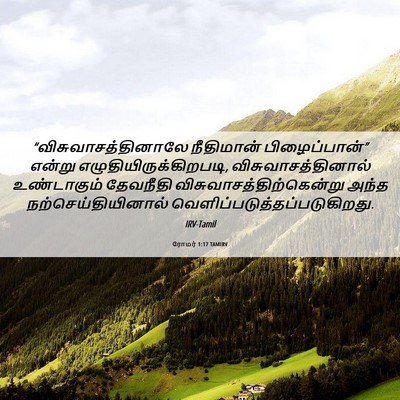 Picture 06 - ரோமர் 1:17 TAMIRV - “விசுவாசத்தினாலே - Bible Verse Picture