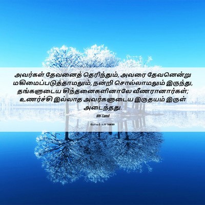 Picture 06 - ரோமர் 1:21 TAMIRV - அவர்கள் தேவனைத் - Bible Verse Picture