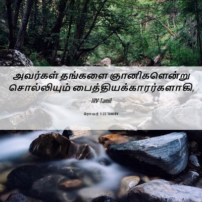 Picture 06 - ரோமர் 1:22 TAMIRV - அவர்கள் தங்களை - Bible Verse Picture