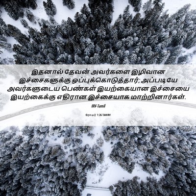 Picture 06 - ரோமர் 1:26 TAMIRV - இதனால் தேவன் - Bible Verse Picture