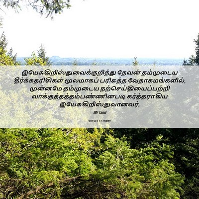 Picture 06 - ரோமர் 1:4 TAMIRV -  - Bible Verse Picture