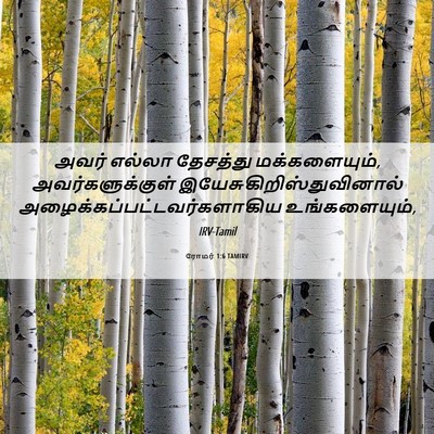 Picture 06 - ரோமர் 1:6 TAMIRV - அவர் எல்லா - Bible Verse Picture