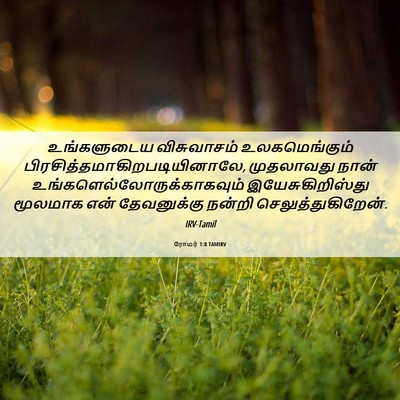 Picture 06 - ரோமர் 1:8 TAMIRV - உங்களுடைய - Bible Verse Picture