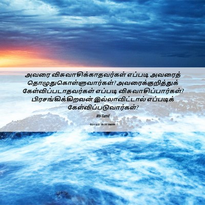 Picture 06 - ரோமர் 10:14 TAMIRV - அவரை - Bible Verse Picture