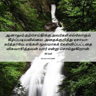 Picture 06 - ரோமர் 10:16 TAMIRV - ஆனாலும் - Bible Verse Picture
