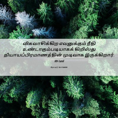 Picture 06 - ரோமர் 10:4 TAMIRV - விசுவாசிக்கிற - Bible Verse Picture
