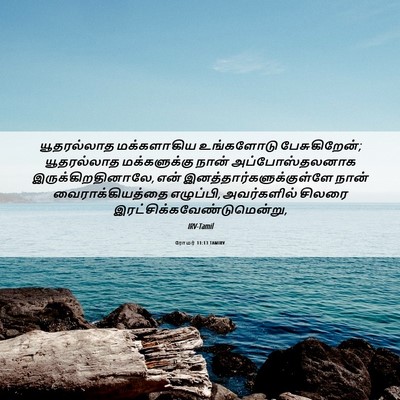 Picture 06 - ரோமர் 11:13 TAMIRV - யூதரல்லாத - Bible Verse Picture