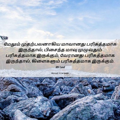 Picture 06 - ரோமர் 11:16 TAMIRV - மேலும் - Bible Verse Picture