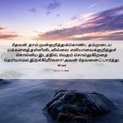 Picture 06 - ரோமர் 11:2 TAMIRV - தேவன், தாம் - Bible Verse Picture