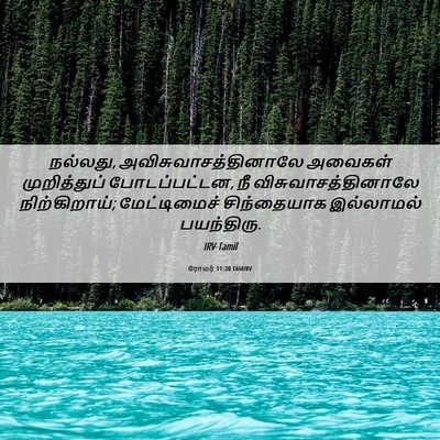 Picture 06 - ரோமர் 11:20 TAMIRV - நல்லது, - Bible Verse Picture