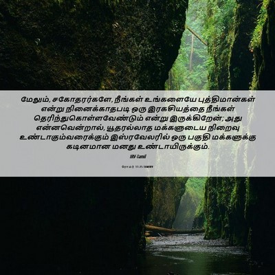Picture 06 - ரோமர் 11:25 TAMIRV - மேலும், - Bible Verse Picture