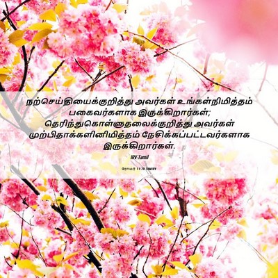 Picture 06 - ரோமர் 11:28 TAMIRV -  - Bible Verse Picture
