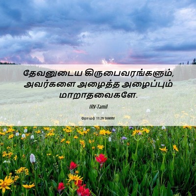 Picture 06 - ரோமர் 11:29 TAMIRV - தேவனுடைய - Bible Verse Picture