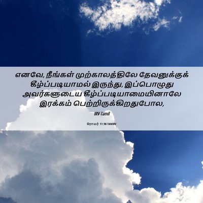 Picture 06 - ரோமர் 11:30 TAMIRV - எனவே, நீங்கள் - Bible Verse Picture