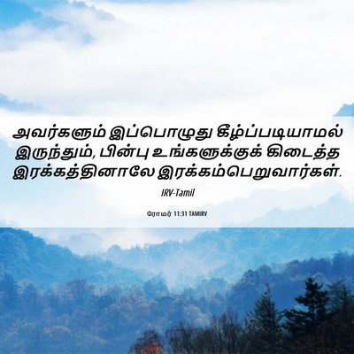 Picture 06 - ரோமர் 11:31 TAMIRV - அவர்களும் - Bible Verse Picture