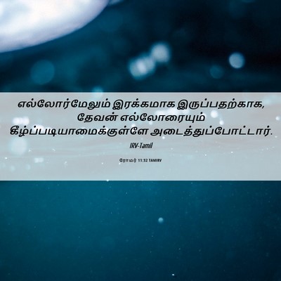 Picture 06 - ரோமர் 11:32 TAMIRV - எல்லோர்மேலும் - Bible Verse Picture