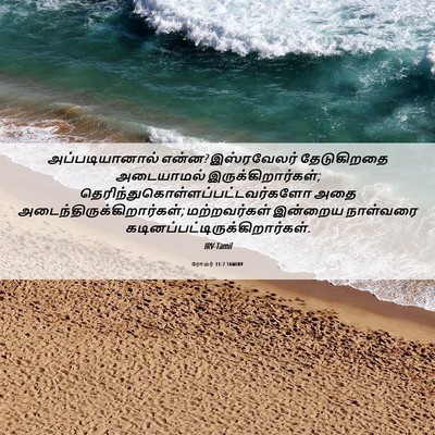 Picture 06 - ரோமர் 11:7 TAMIRV - அப்படியானால் - Bible Verse Picture