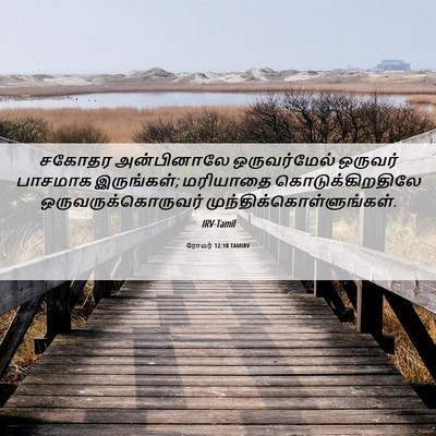 Picture 06 - ரோமர் 12:10 TAMIRV - சகோதர அன்பினாலே - Bible Verse Picture