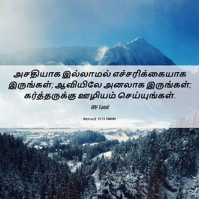 Picture 06 - ரோமர் 12:11 TAMIRV - அசதியாக இல்லாமல் - Bible Verse Picture