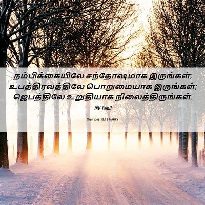 Picture 06 - ரோமர் 12:12 TAMIRV - நம்பிக்கையிலே - Bible Verse Picture