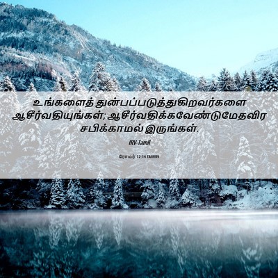 Picture 06 - ரோமர் 12:14 TAMIRV - உங்களைத் - Bible Verse Picture
