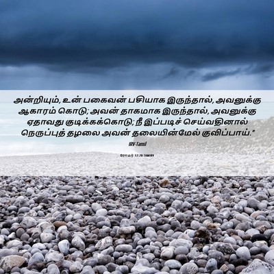 Picture 06 - ரோமர் 12:20 TAMIRV - அன்றியும், உன் - Bible Verse Picture
