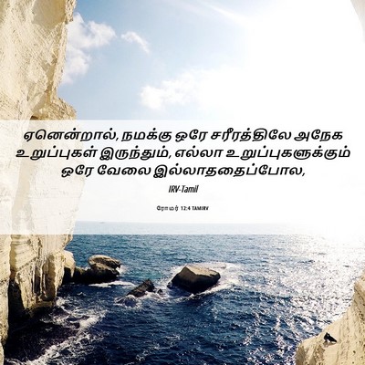 Picture 06 - ரோமர் 12:4 TAMIRV - ஏனென்றால், நமக்கு - Bible Verse Picture