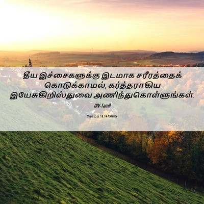 Picture 06 - ரோமர் 13:14 TAMIRV - தீய இச்சைகளுக்கு - Bible Verse Picture
