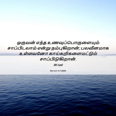 Picture 06 - ரோமர் 14:2 TAMIRV - ஒருவன் எந்த - Bible Verse Picture