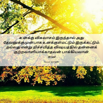 Picture 06 - ரோமர் 14:22 TAMIRV - உனக்கு விசுவாசம் - Bible Verse Picture