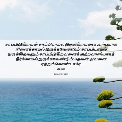 Picture 06 - ரோமர் 14:3 TAMIRV - சாப்பிடுகிறவன் - Bible Verse Picture