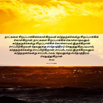 Picture 06 - ரோமர் 14:6 TAMIRV - நாட்களை - Bible Verse Picture