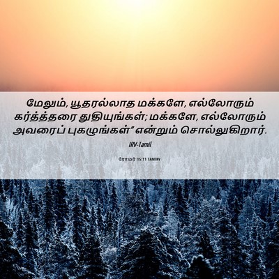 Picture 06 - ரோமர் 15:11 TAMIRV - மேலும், யூதரல்லாத - Bible Verse Picture