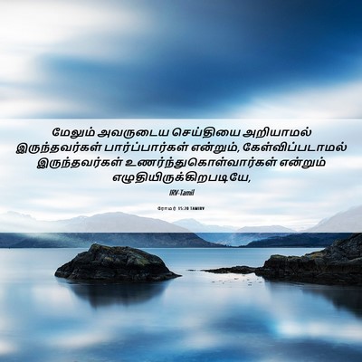 Picture 06 - ரோமர் 15:20 TAMIRV - மேலும் அவருடைய - Bible Verse Picture