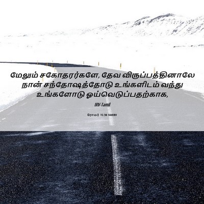 Picture 06 - ரோமர் 15:30 TAMIRV - மேலும் - Bible Verse Picture