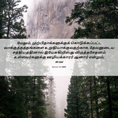 Picture 06 - ரோமர் 15:8 TAMIRV - மேலும், - Bible Verse Picture